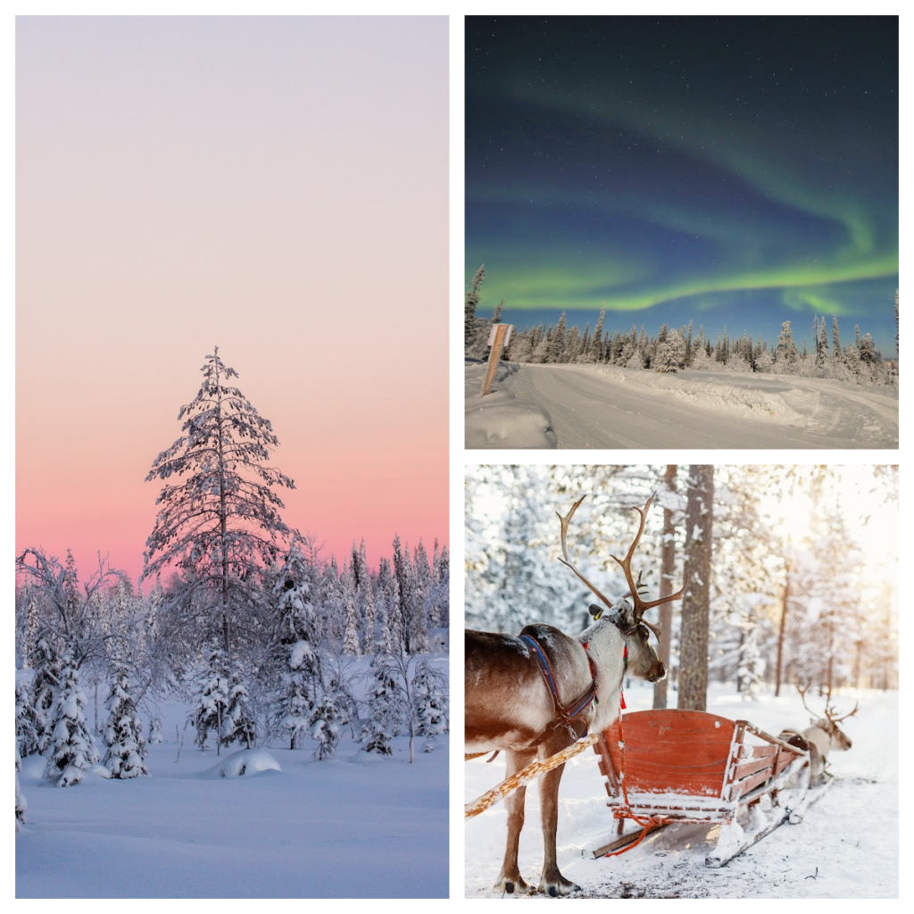 Lapland – Arctic Animal Adaptations
