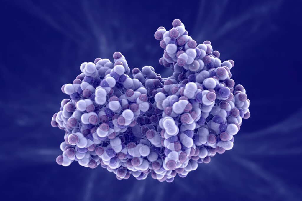What are enzymes?