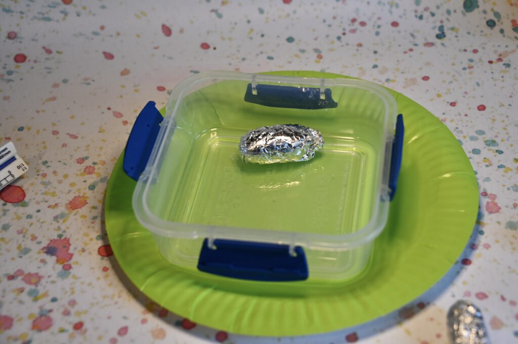 The Best Bouncy Jumping Bean